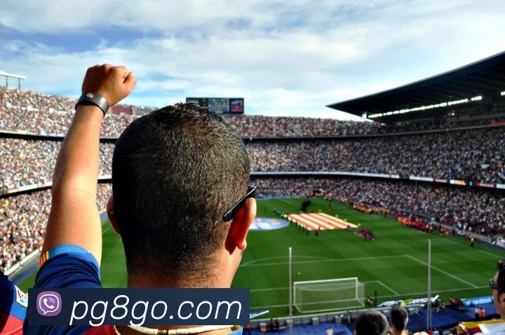 汇盈娱乐城官网发展历程