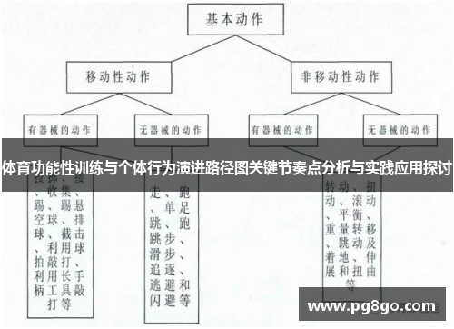 体育功能性训练与个体行为演进路径图关键节奏点分析与实践应用探讨